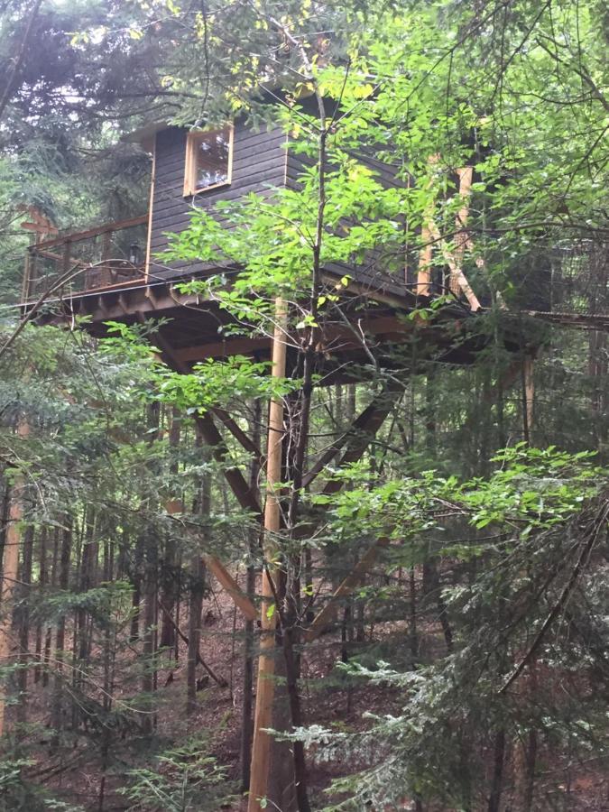 Cabane De L'Ecureuil Châtel-Guyon Exterior foto